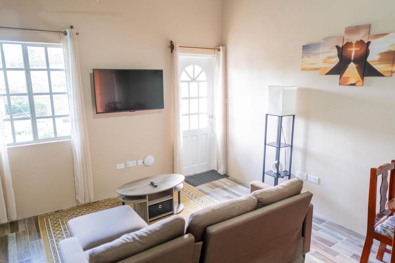 Golden Palms Apartment Κίνγκσταουν Εξωτερικό φωτογραφία