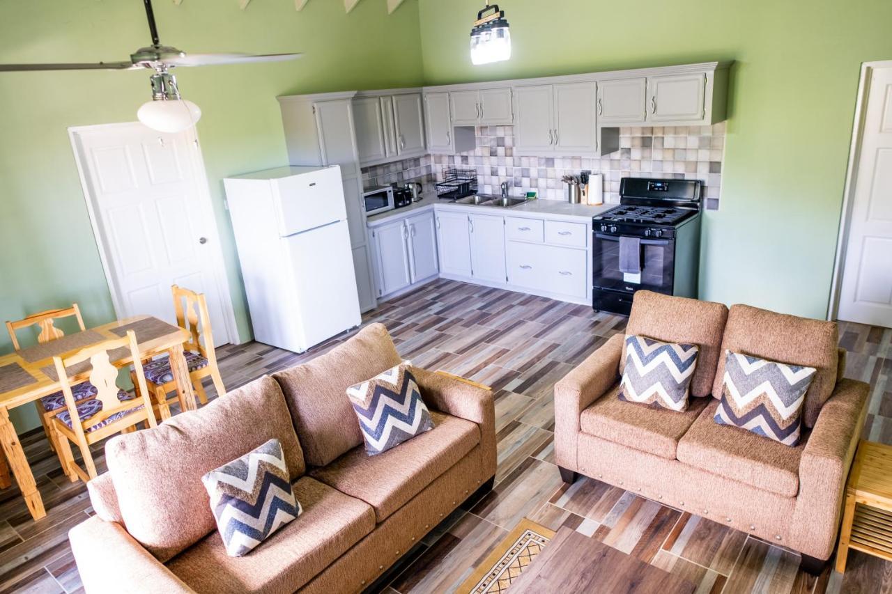 Golden Palms Apartment Κίνγκσταουν Εξωτερικό φωτογραφία