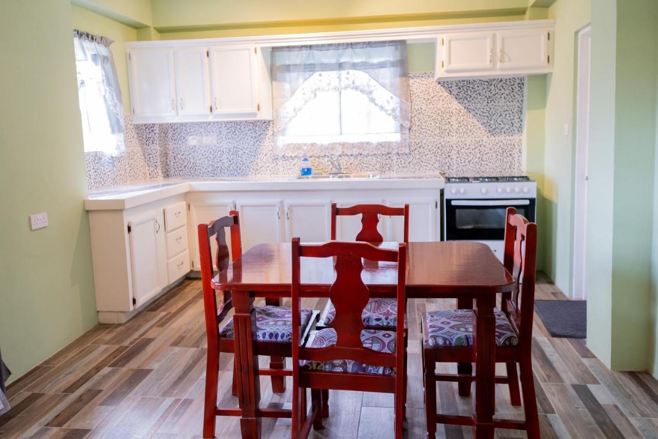 Golden Palms Apartment Κίνγκσταουν Εξωτερικό φωτογραφία